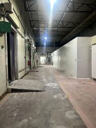 Woodlands Terrace (D25), Factory #541142251